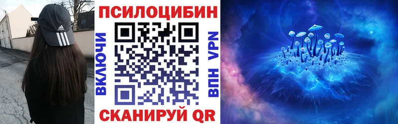 маркетплейс наркотические препараты  Городовиковск  Псилоцибиновые грибы Magic Shrooms 
